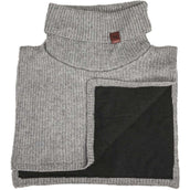 Back on Track Turtleneck Eli Grey