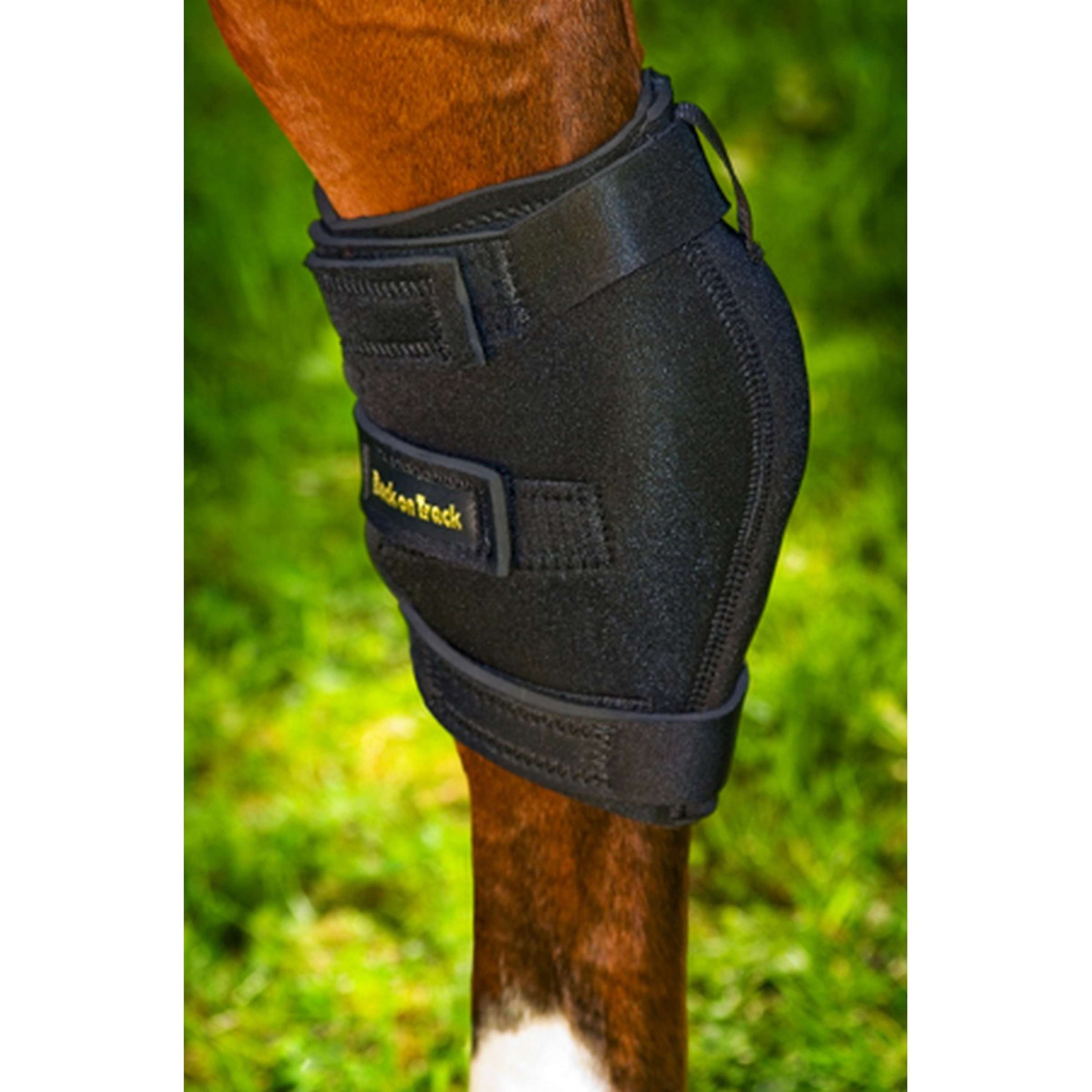 Back on Track Heel Guard Tarsal joint Left Black Back on Track Heel Guard Tarsal joint Left Black