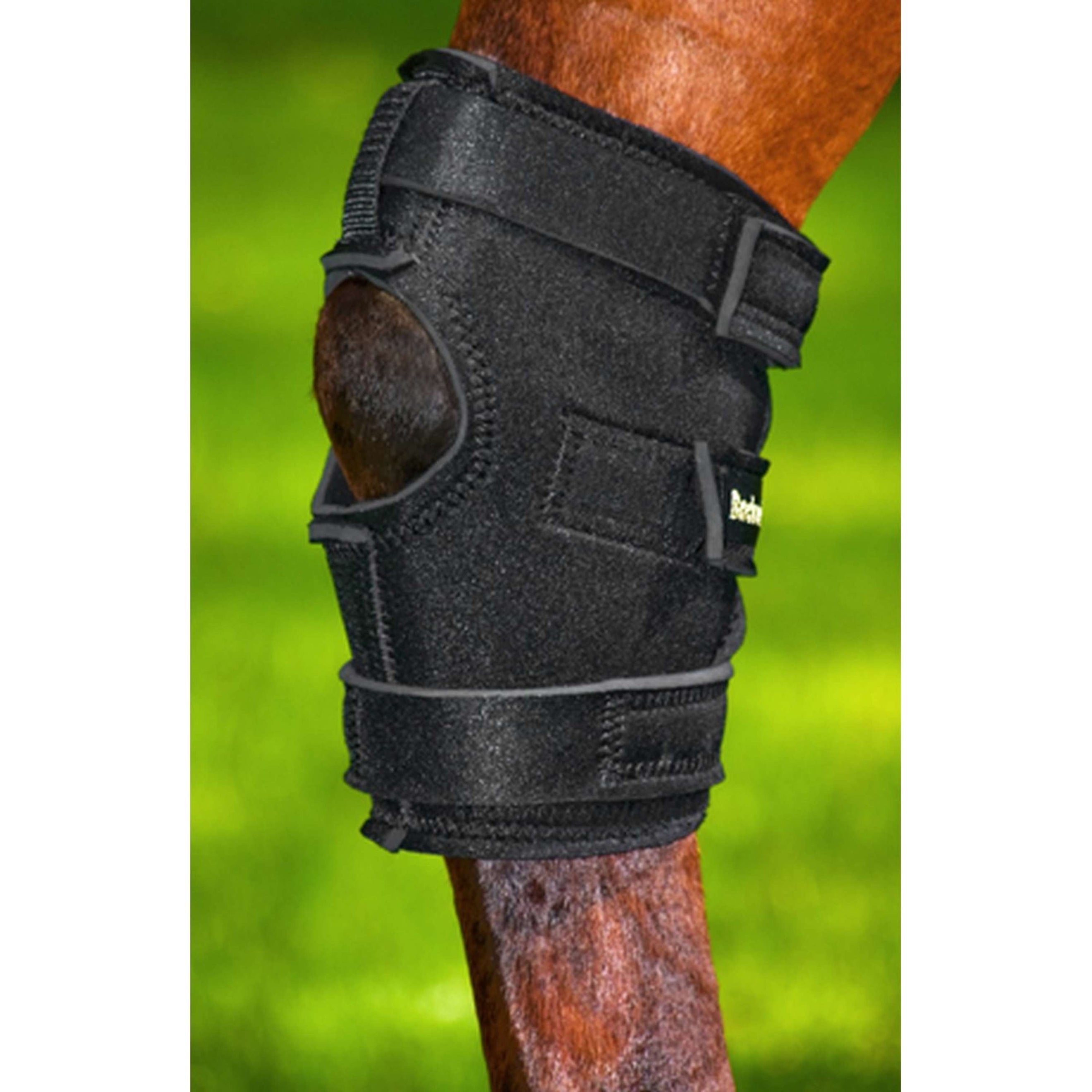 Back on Track Heel Guard Tarsal joint Right Hole Black Back on Track Heel Guard Tarsal joint Right Hole Black
