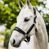 Back on track Halter Werano Black/Reflective