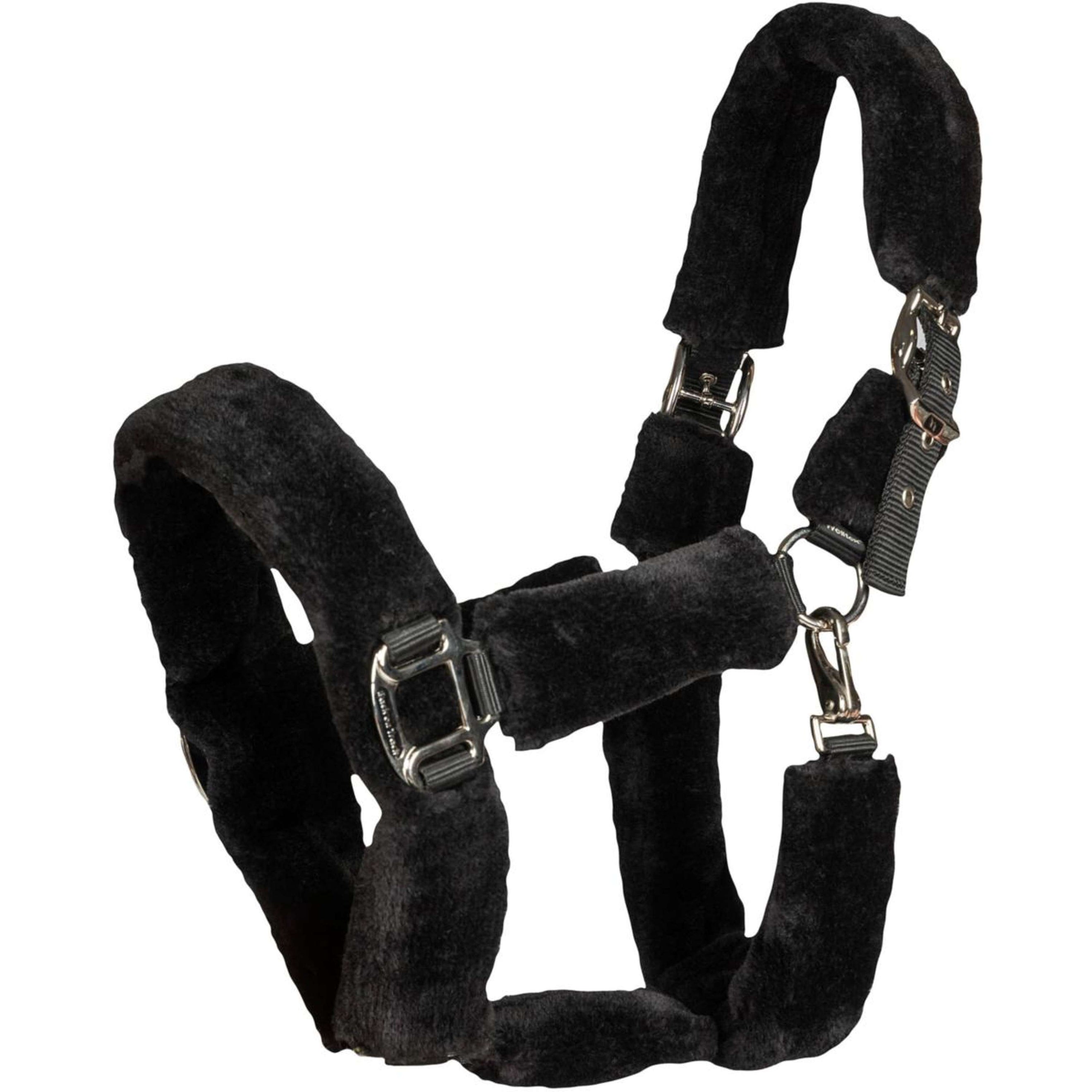 Back on Track Halter Audrey Black