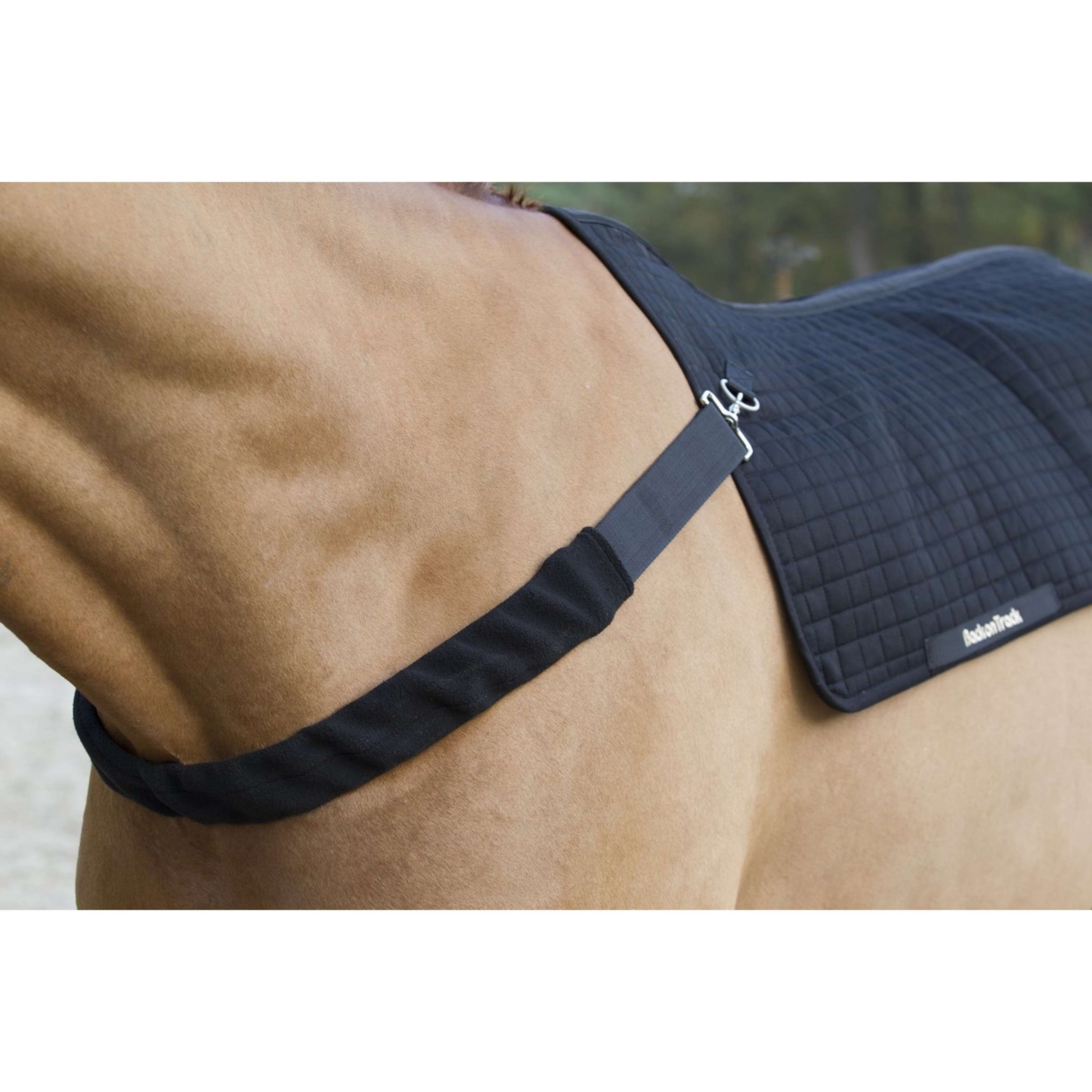 Back on Track Front Strap Black Back on Track Front Strap Black