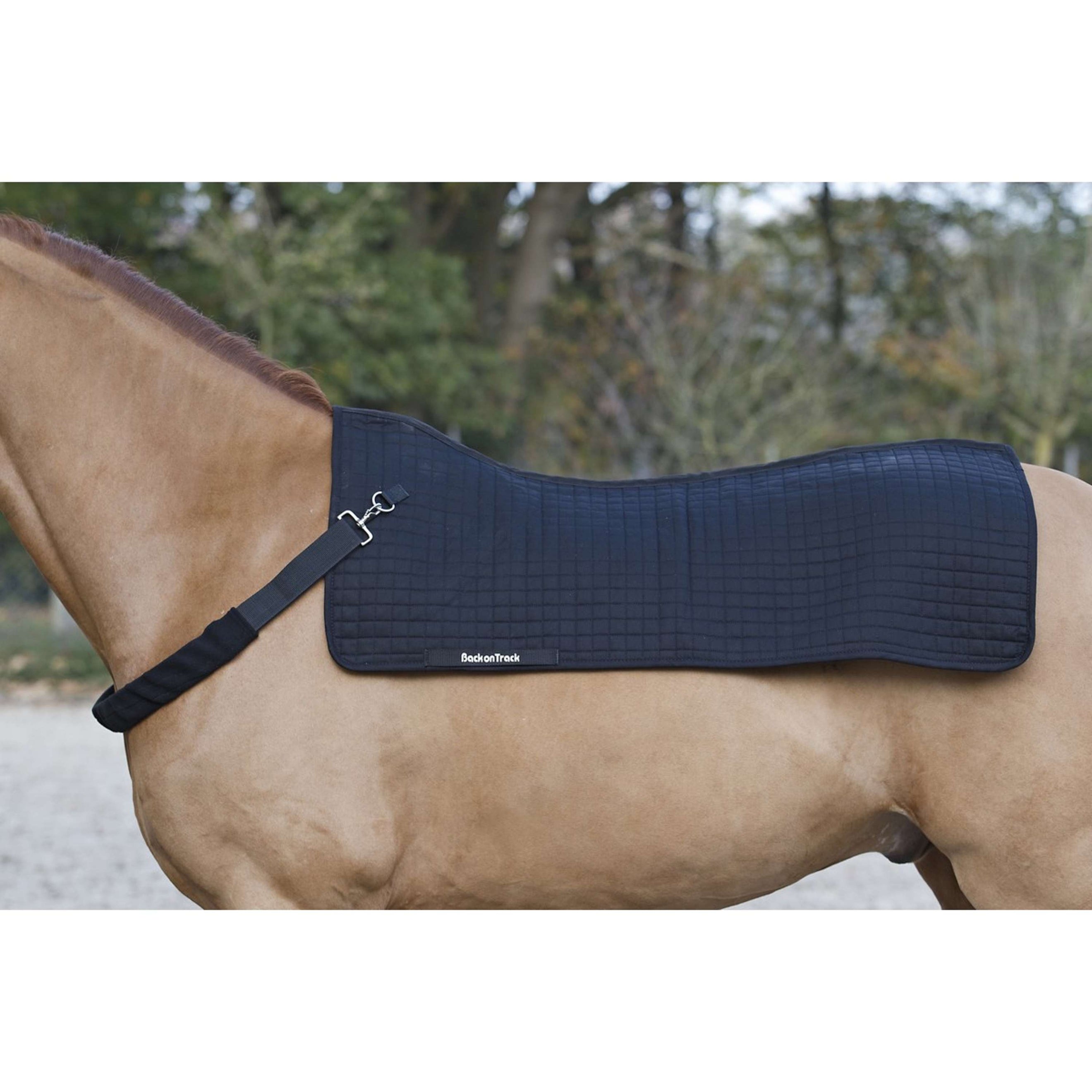 Back on Track Horseback Warmer Royal Black