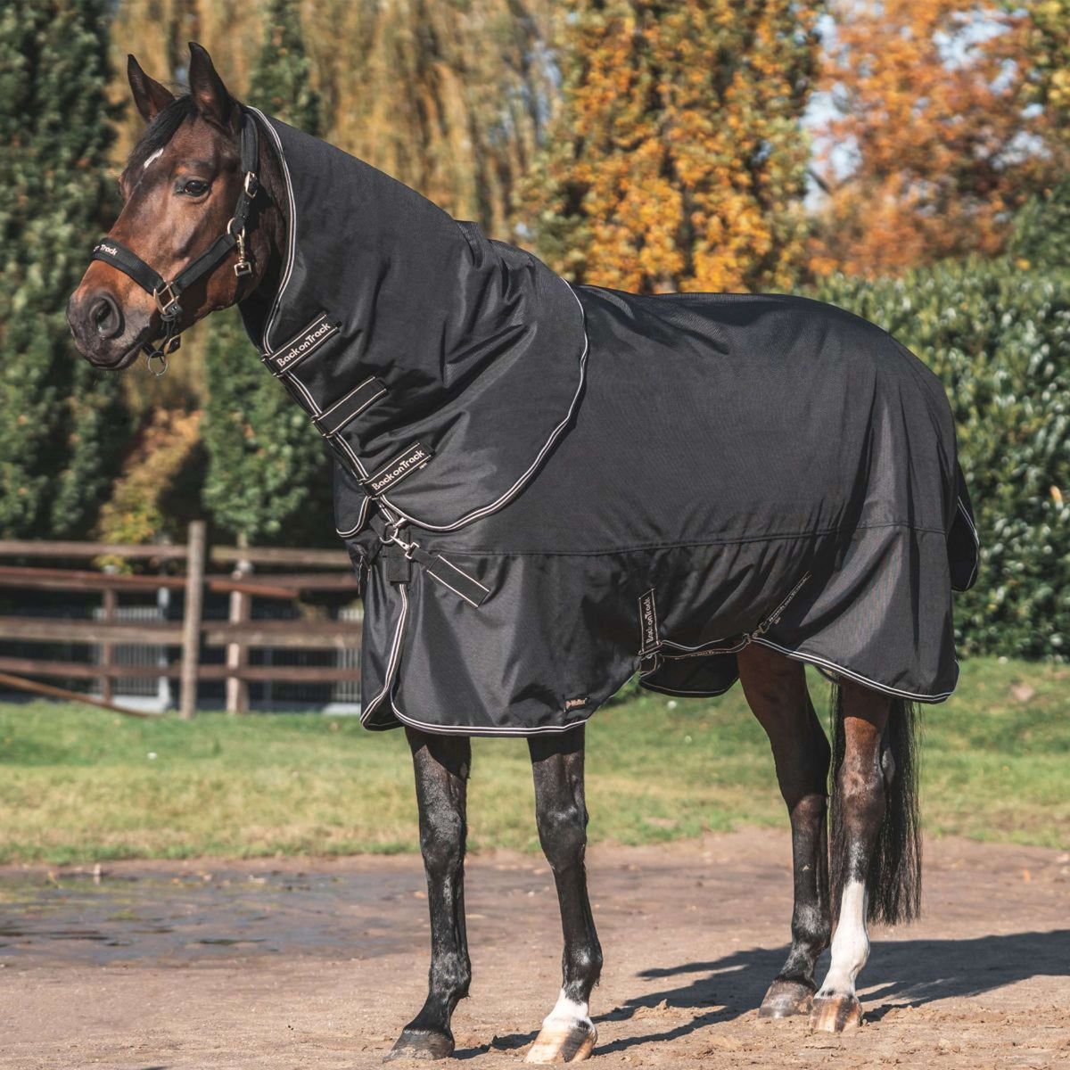 Back on Track Outdoor Rug Obsidian 300g with a Removable Hood Black