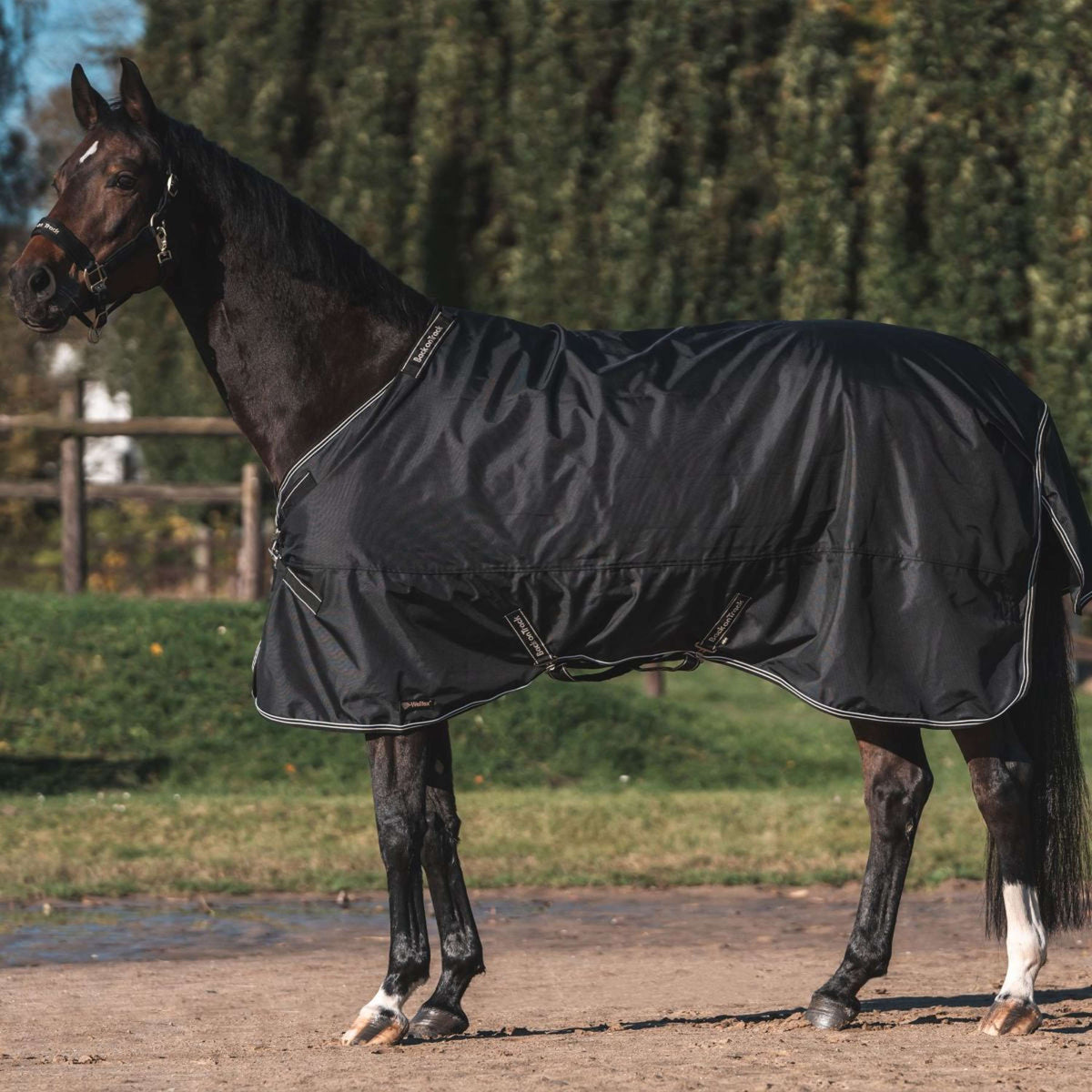 Back on Track Outdoor Rug Obsidian 150g with a Removable Hood Black