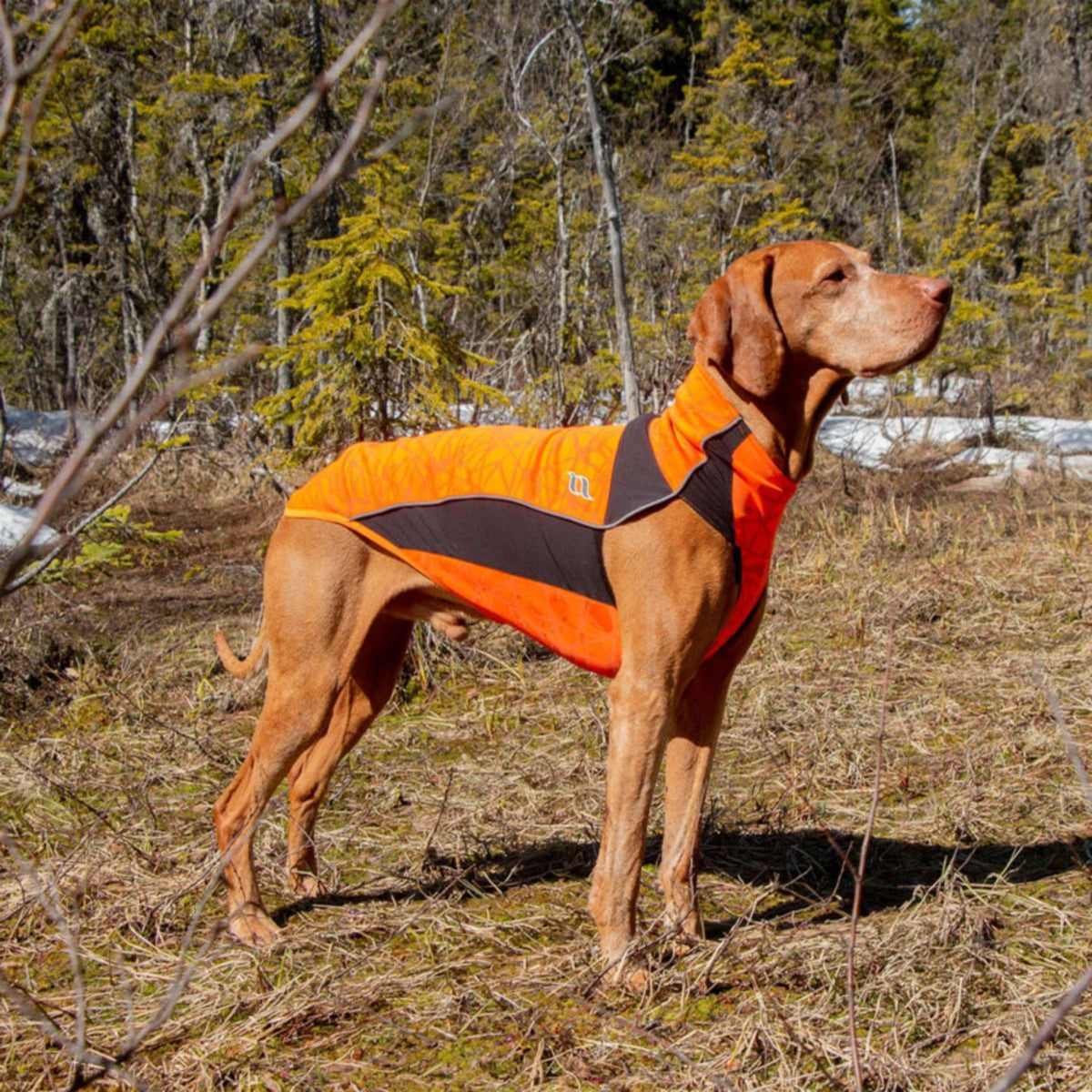 Back on Track Dog Jumper Eddie High Visibility Orange