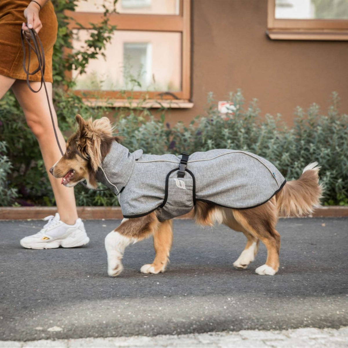 Back on Track Dog Coat Nella All-Round Grey