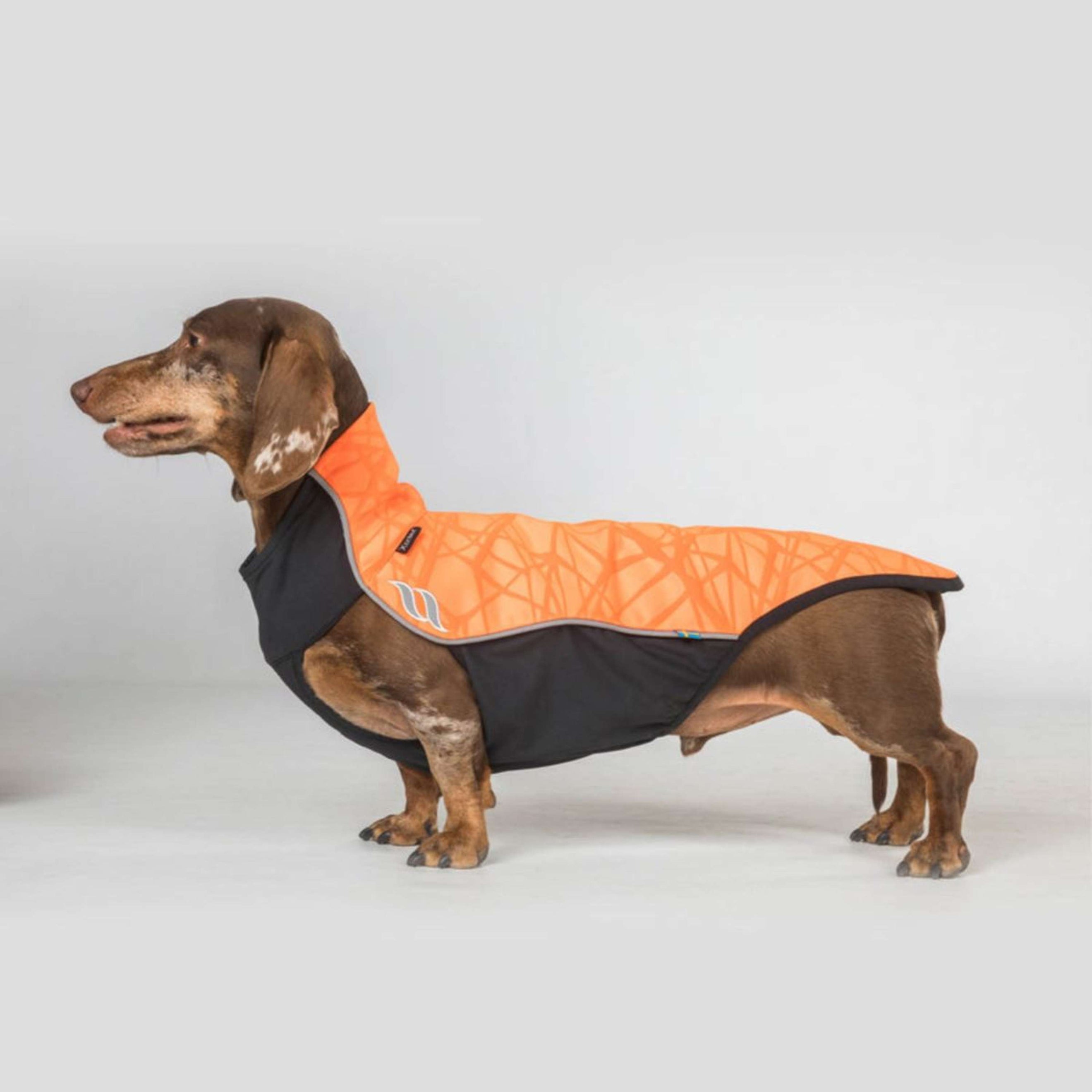 Back on Track Dog Jumper Eddie High Visibility Petite Orange Back on Track Dog Jumper Eddie High Visibility Petite Orange