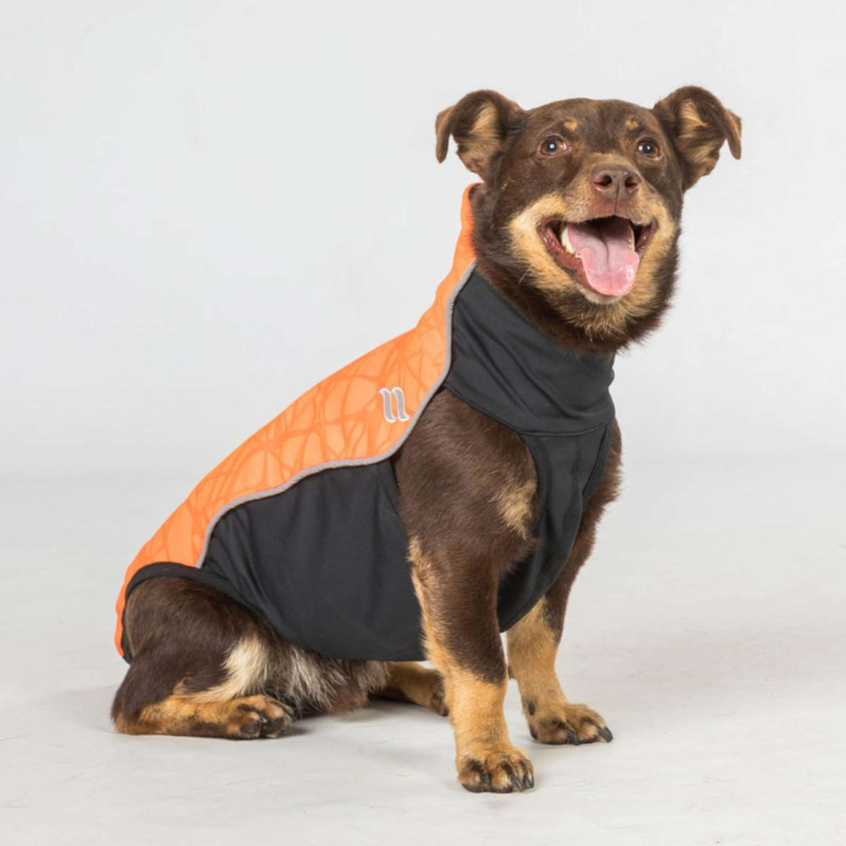 Back on Track Dog Jumper Eddie High Visibility Petite Orange