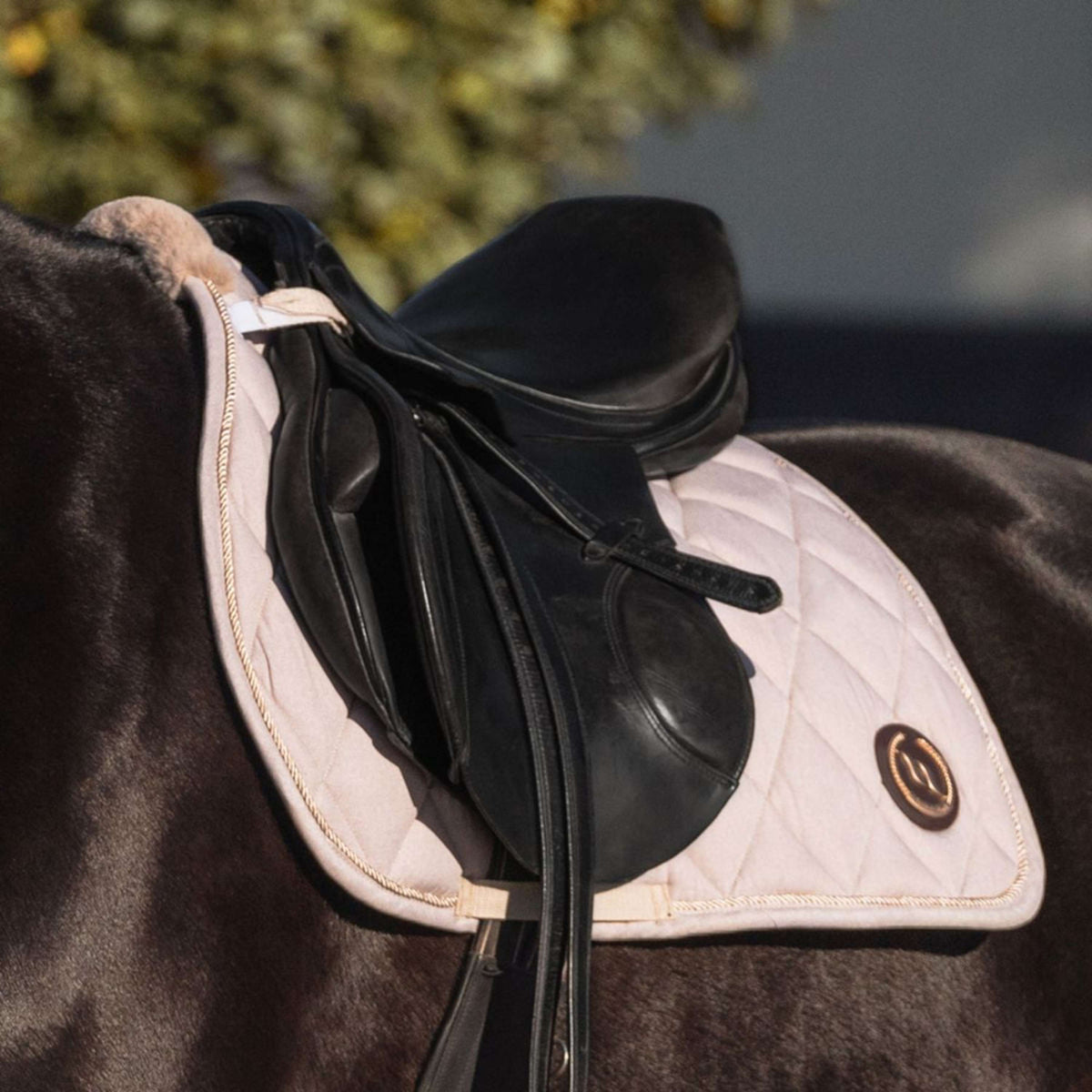 Back on Track Saddlepad Haze Dressage Light beige