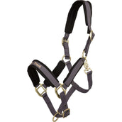 Back on track Halter Werano Graphite