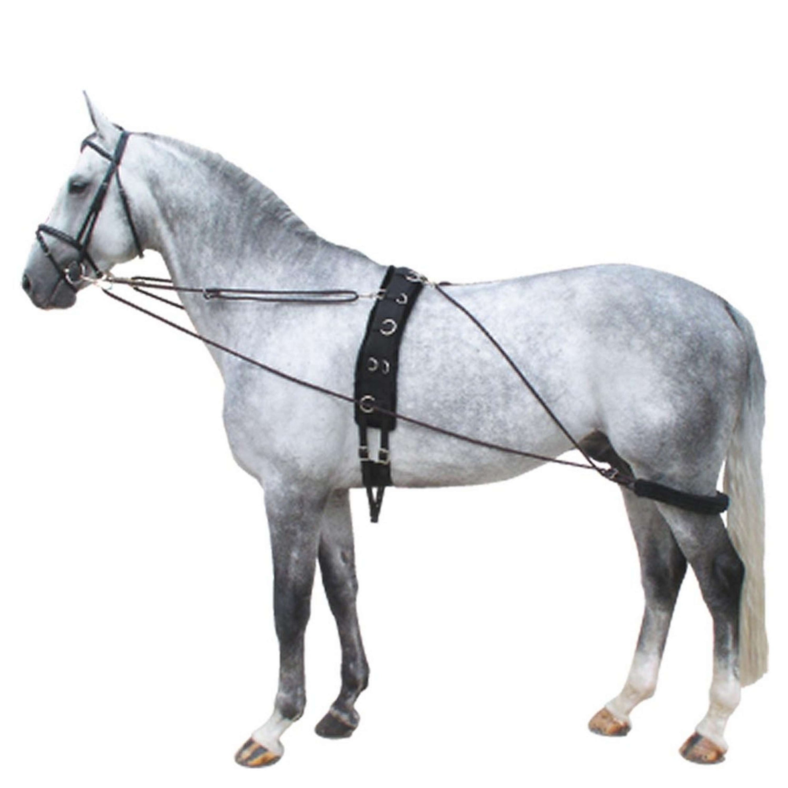 Premiere Lunging Line Reins Black/Bordeaux Premiere Lunging Line Reins Black/Bordeaux