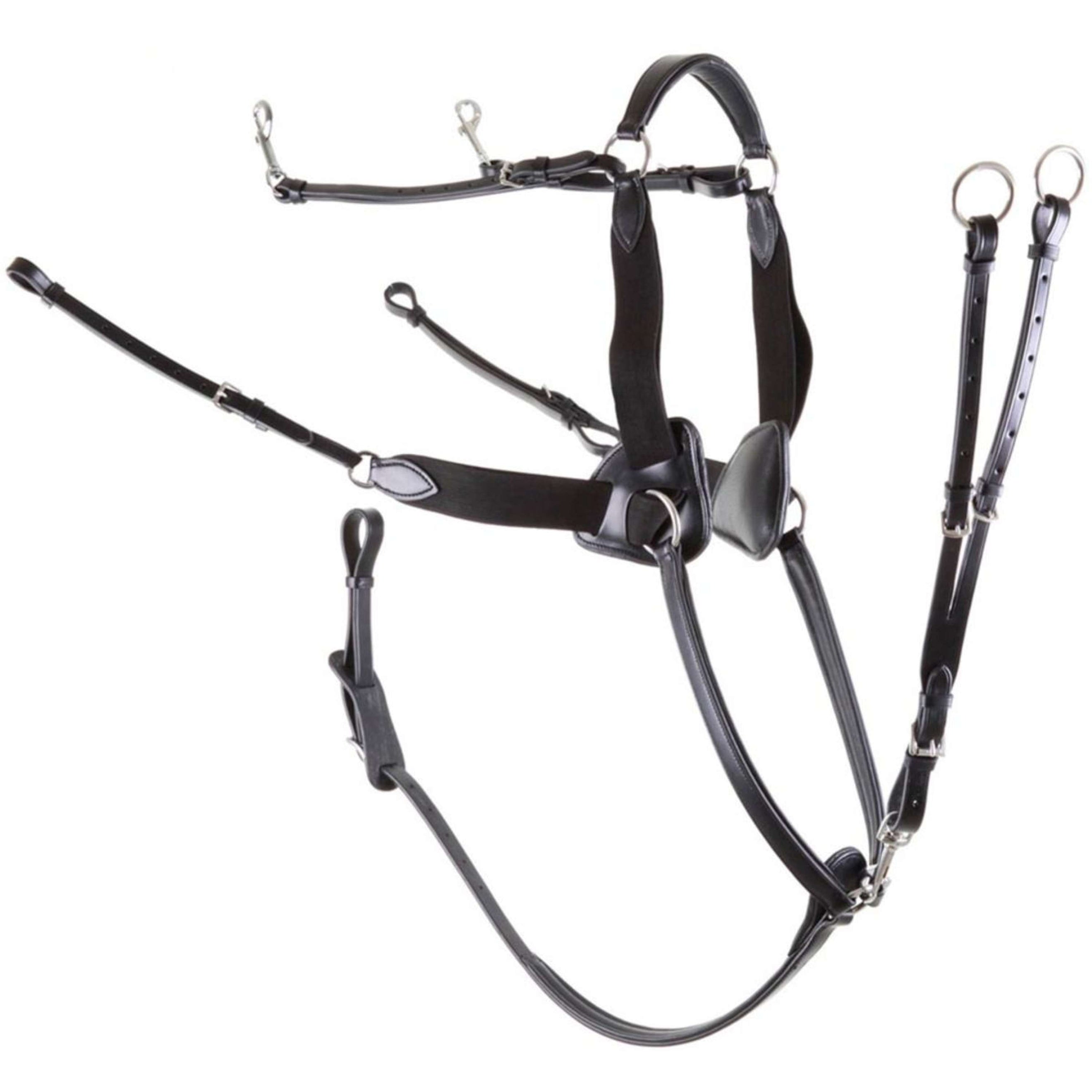 Premiere Front Harness 5-point Elastic Black Premiere Front Harness 5-point Elastic Black