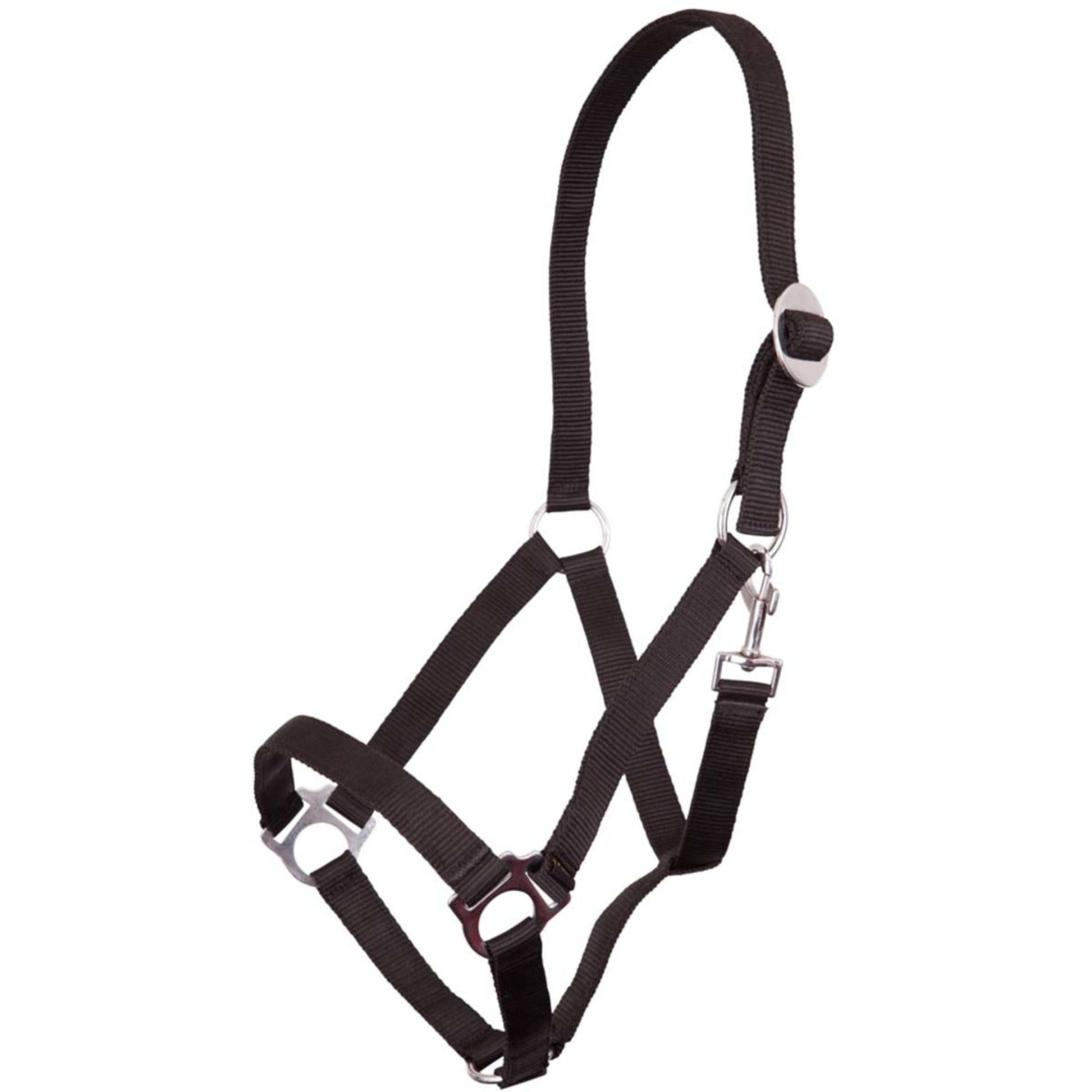 Premiere Head Collar Standaard Poly Black Premiere Head Collar Standaard Poly Black