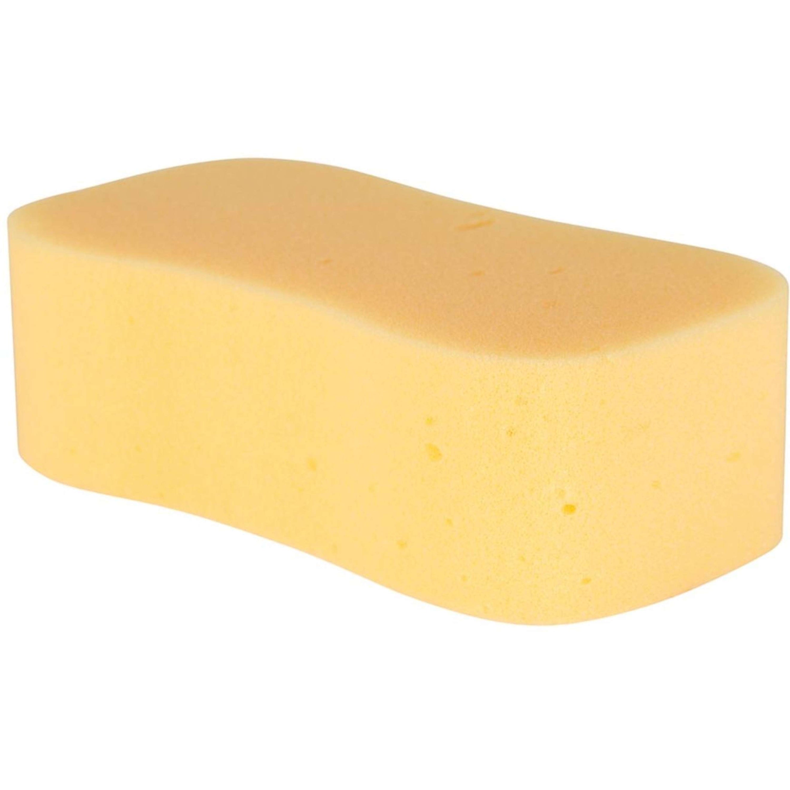 Carr & Day & Martin Sponge Horse Care Sponge Orange Carr & Day & Martin Sponge Horse Care Sponge Orange