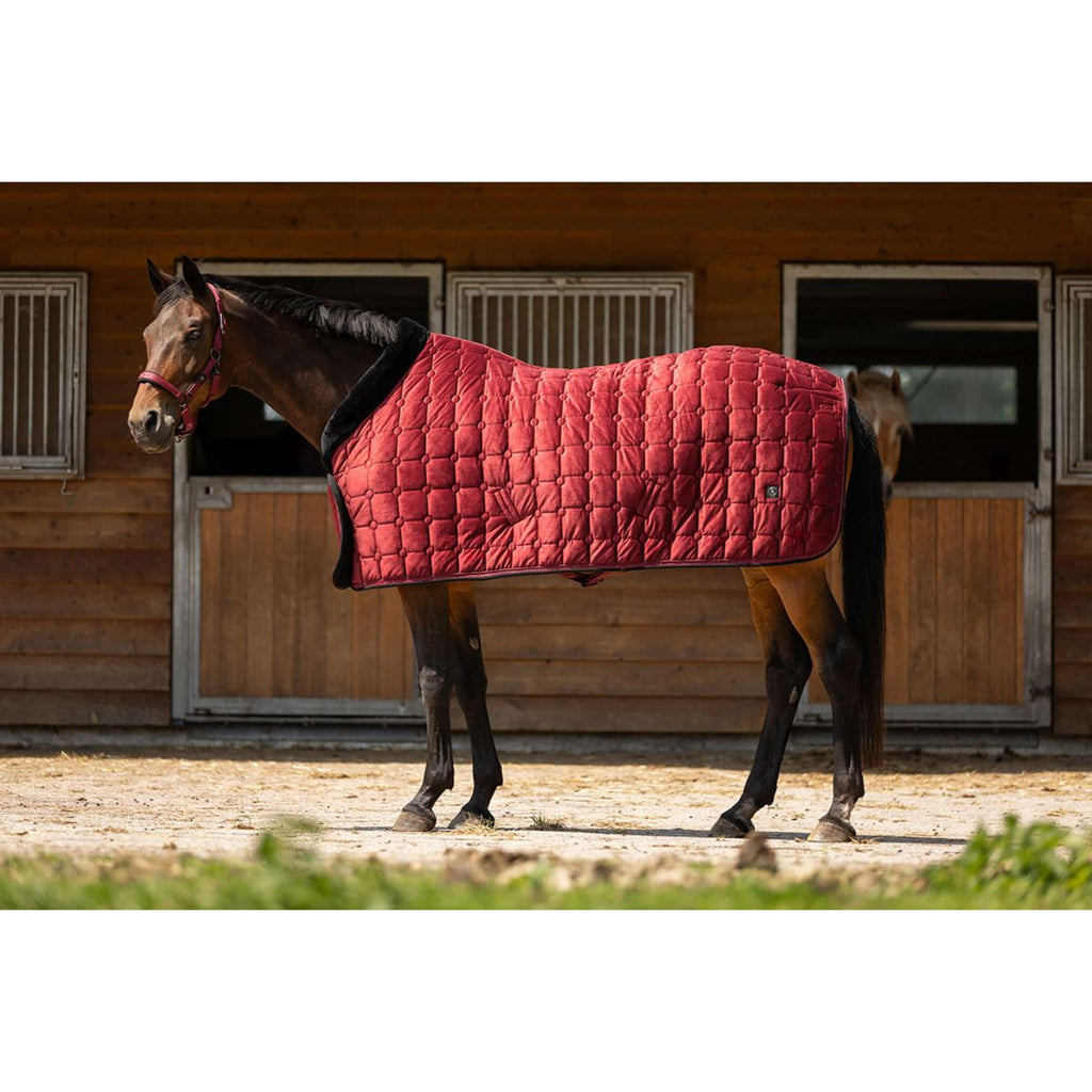 BR Show Rug CLX Cabernet