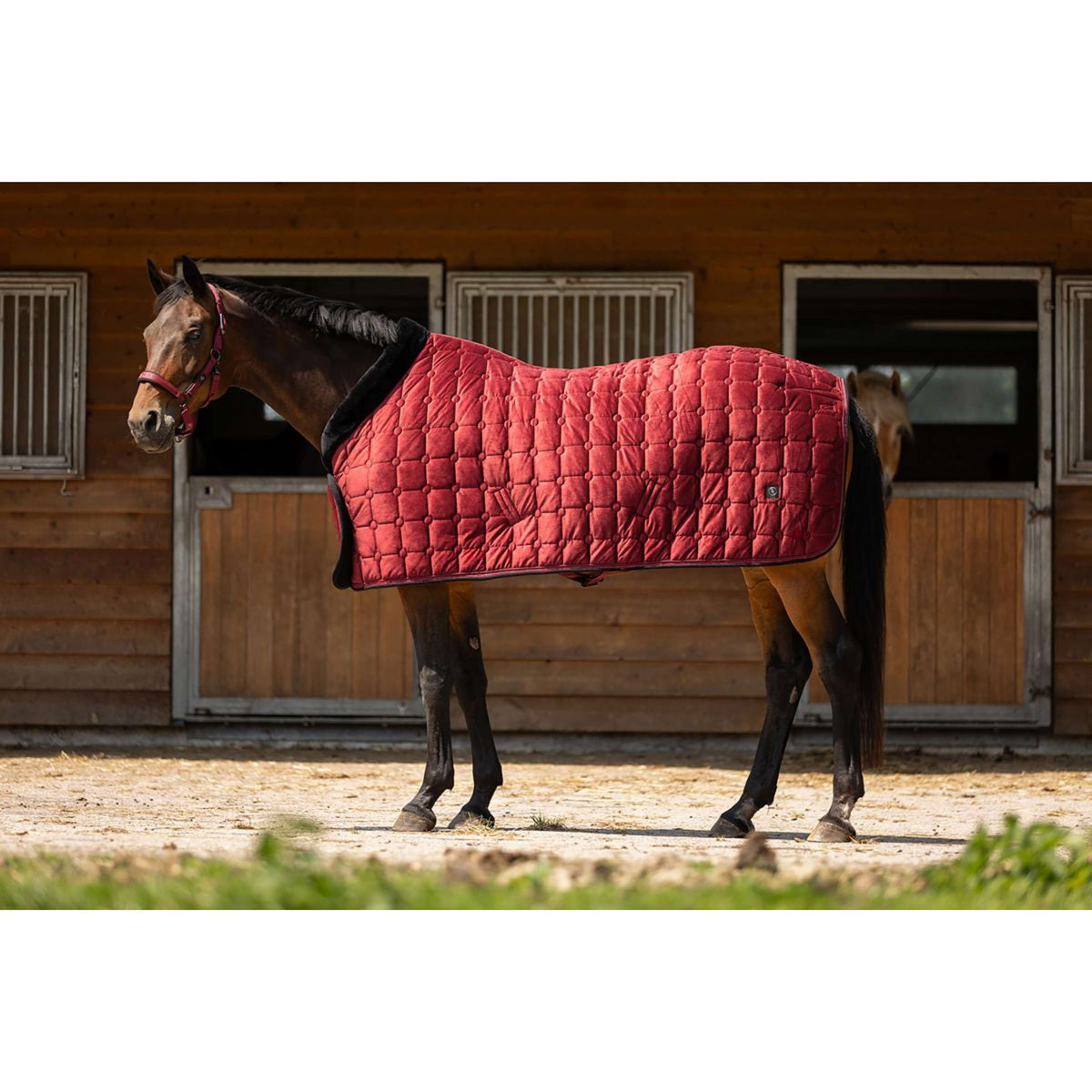 BR Show Rug CLX Cabernet