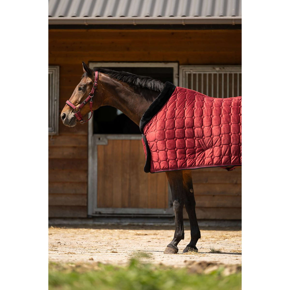 BR Show Rug CLX Cabernet