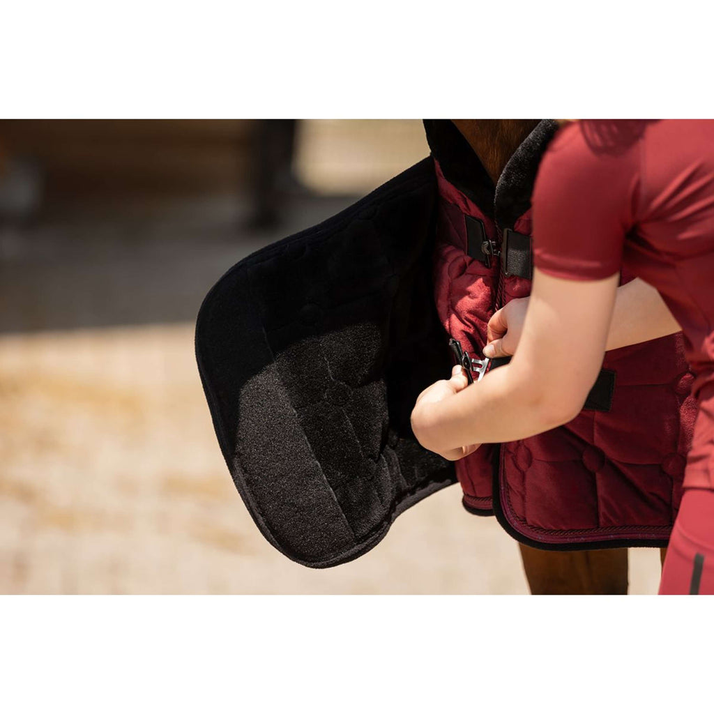 BR Show Rug CLX Cabernet
