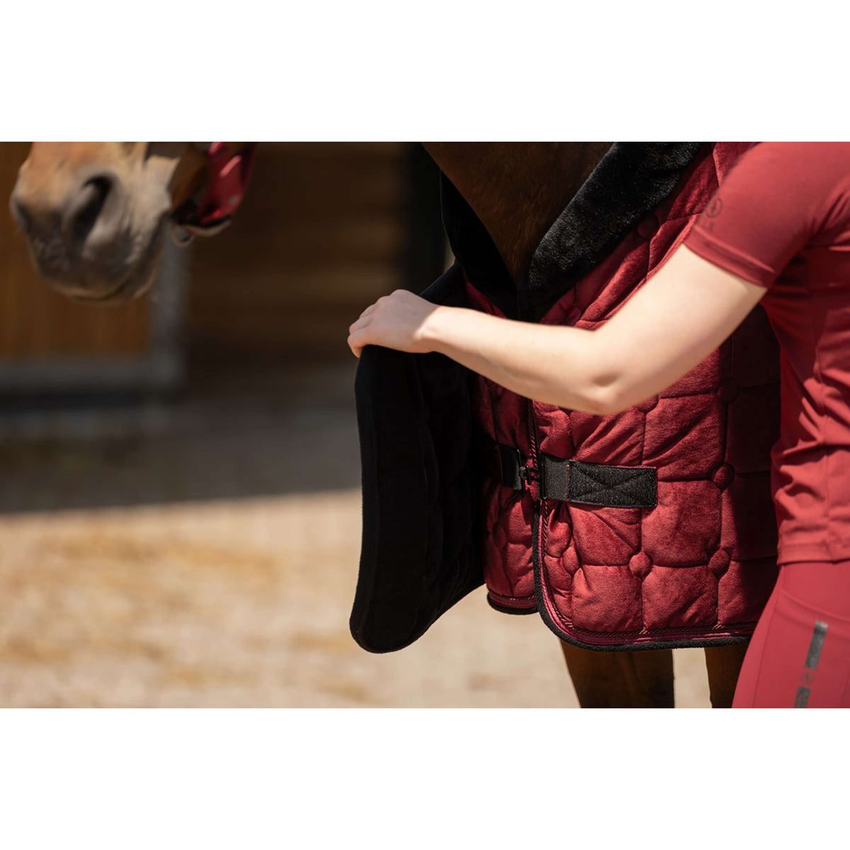 BR Show Rug CLX Cabernet