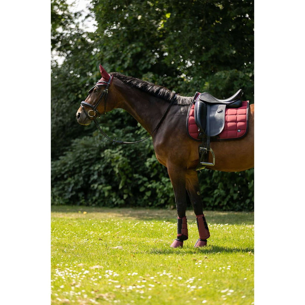 BR Saddlepad CLX Dressage Cabernet