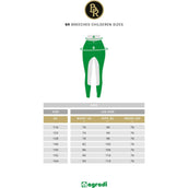 BR Breeches Mirthe Siliconen Knee Castlerock