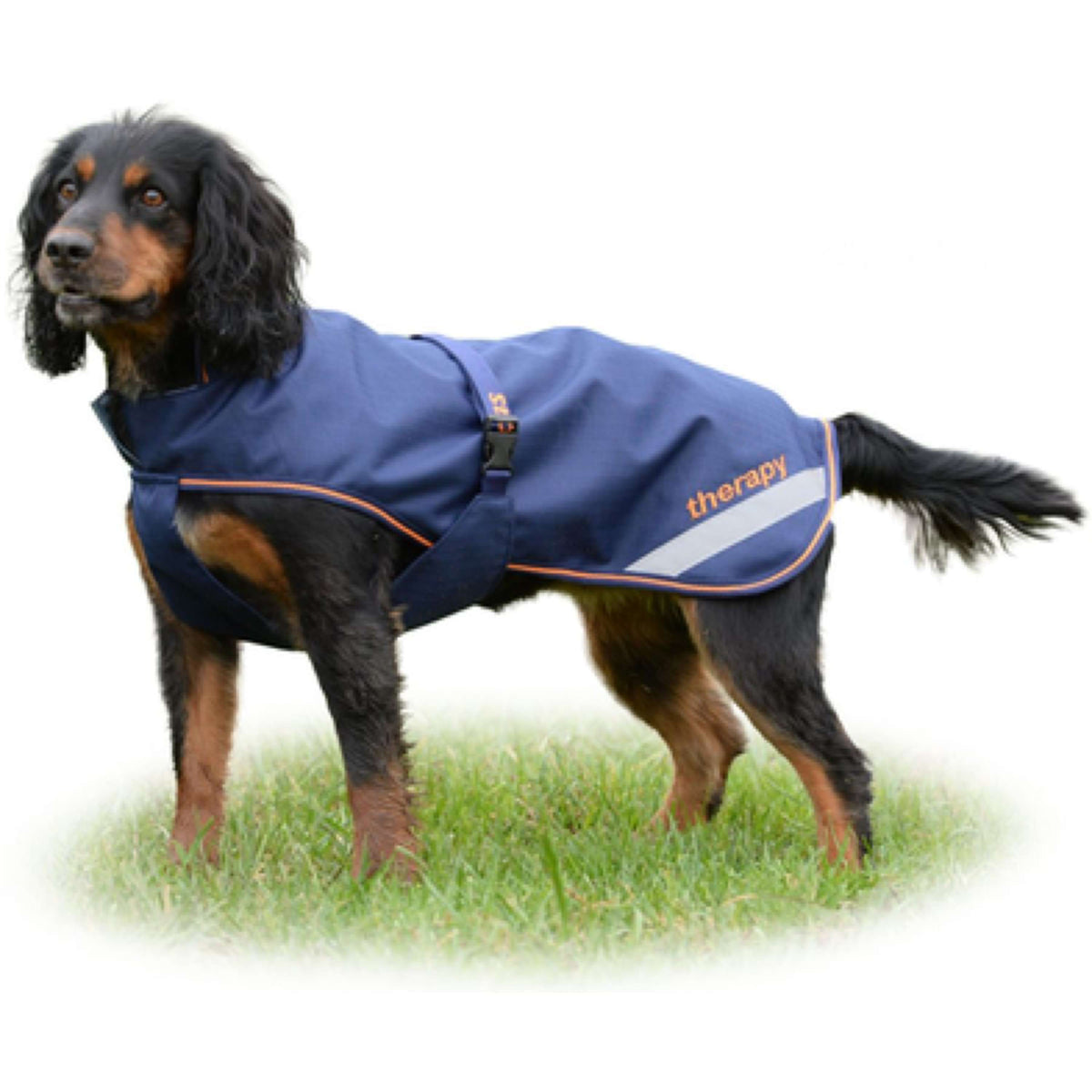 Bucas Therapy Dog Rug 150g Navy/Orange