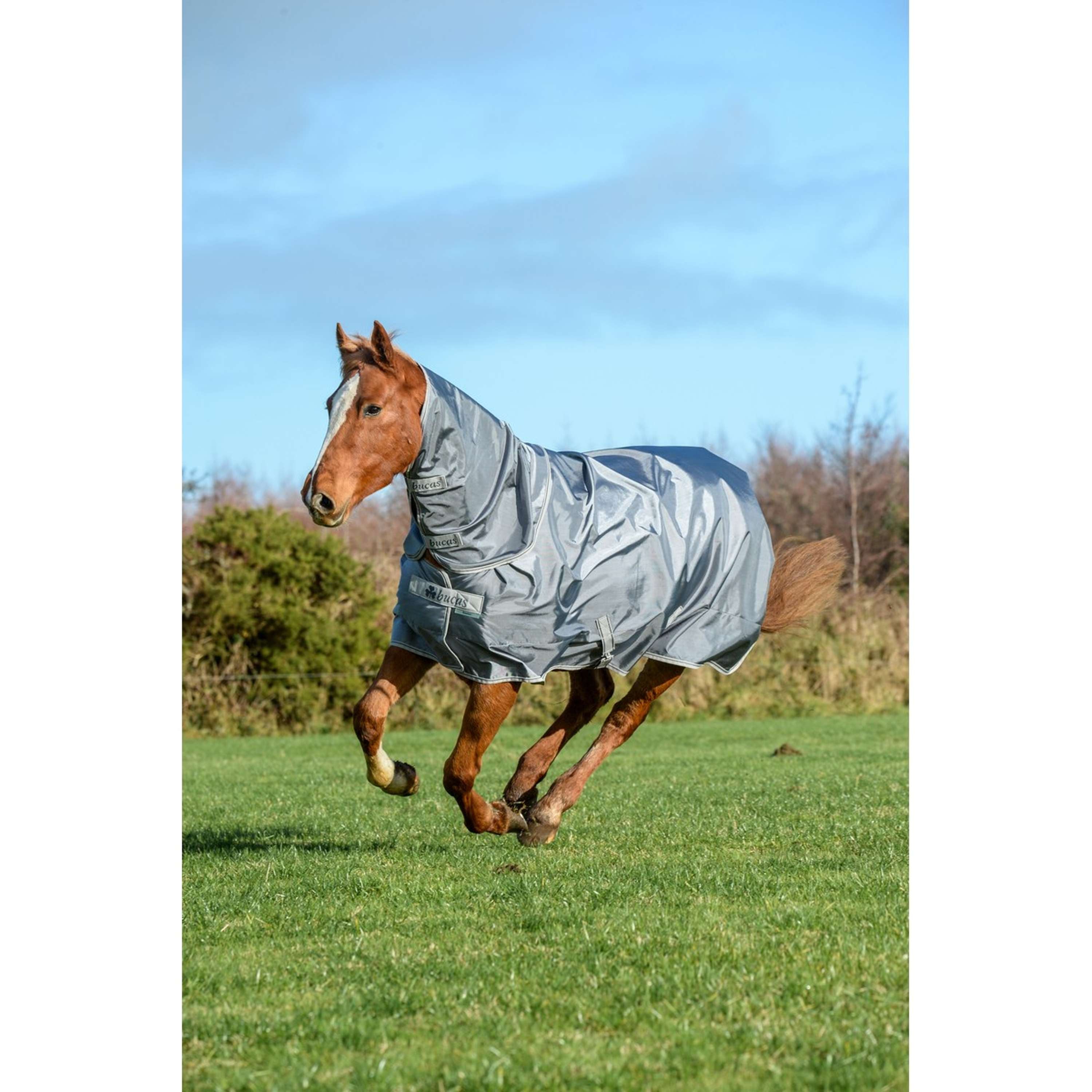 Bucas Neck Cover Smartex Combi Neck Iron Gate