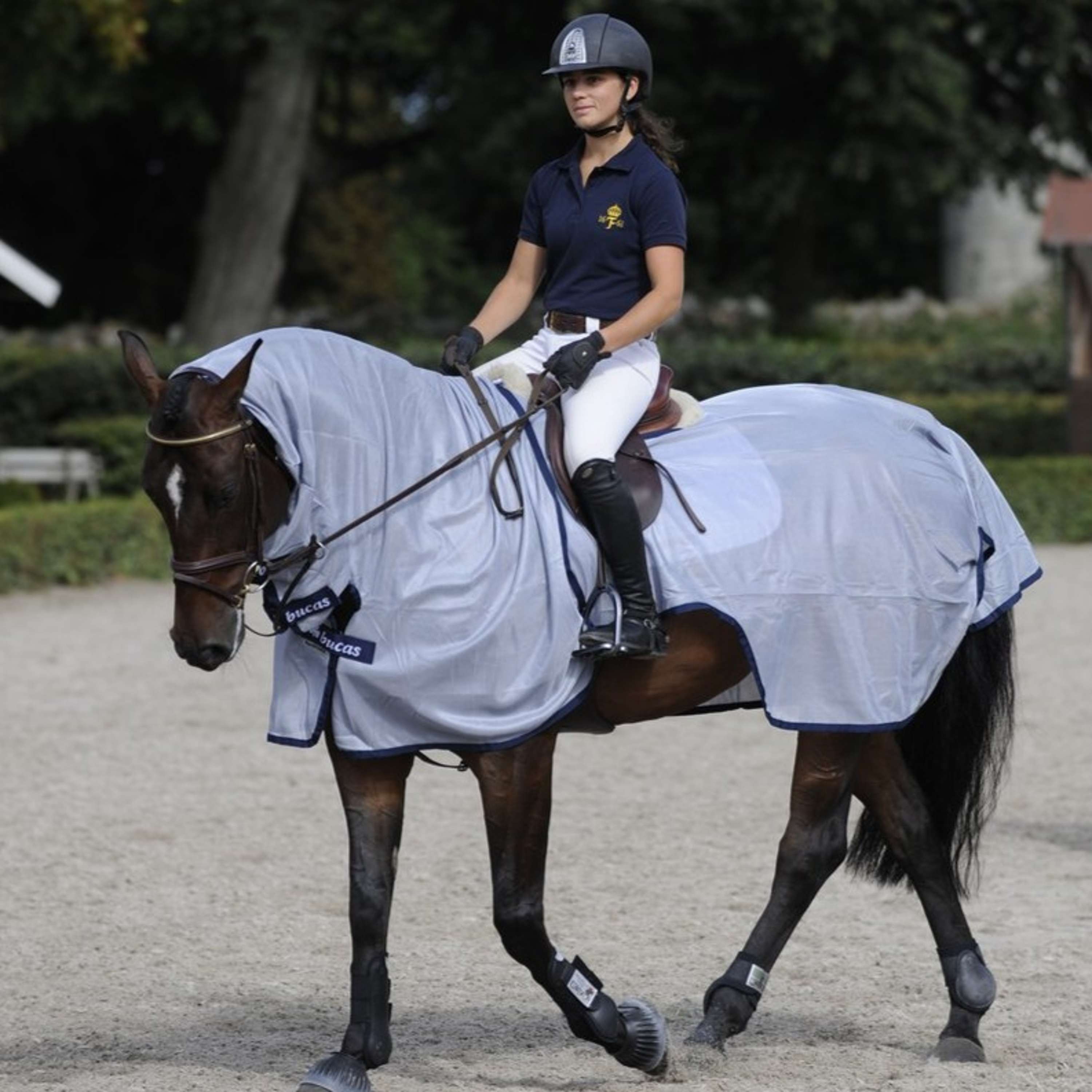 Bucas Buzz-Off Riding Blue
