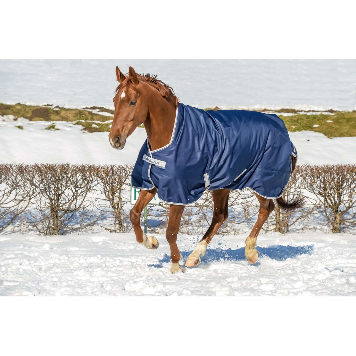 Bucas Turnout Freedom High Neck 150g Navy/Silver