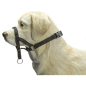 Beeztees Training Band Dog Control Black