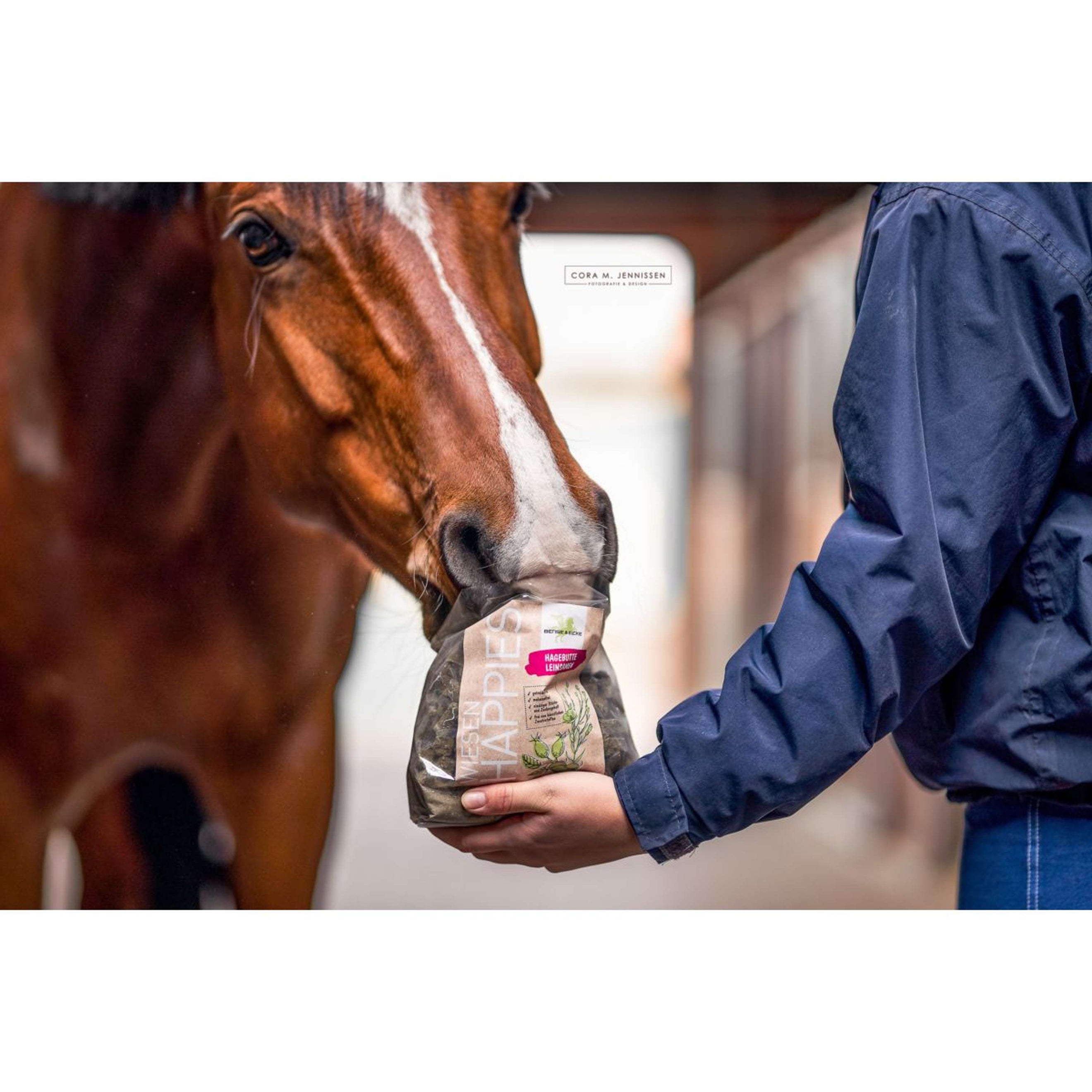 Bense & Eicke Horse Candy Wiesen Happies Rosehip Flaxseed