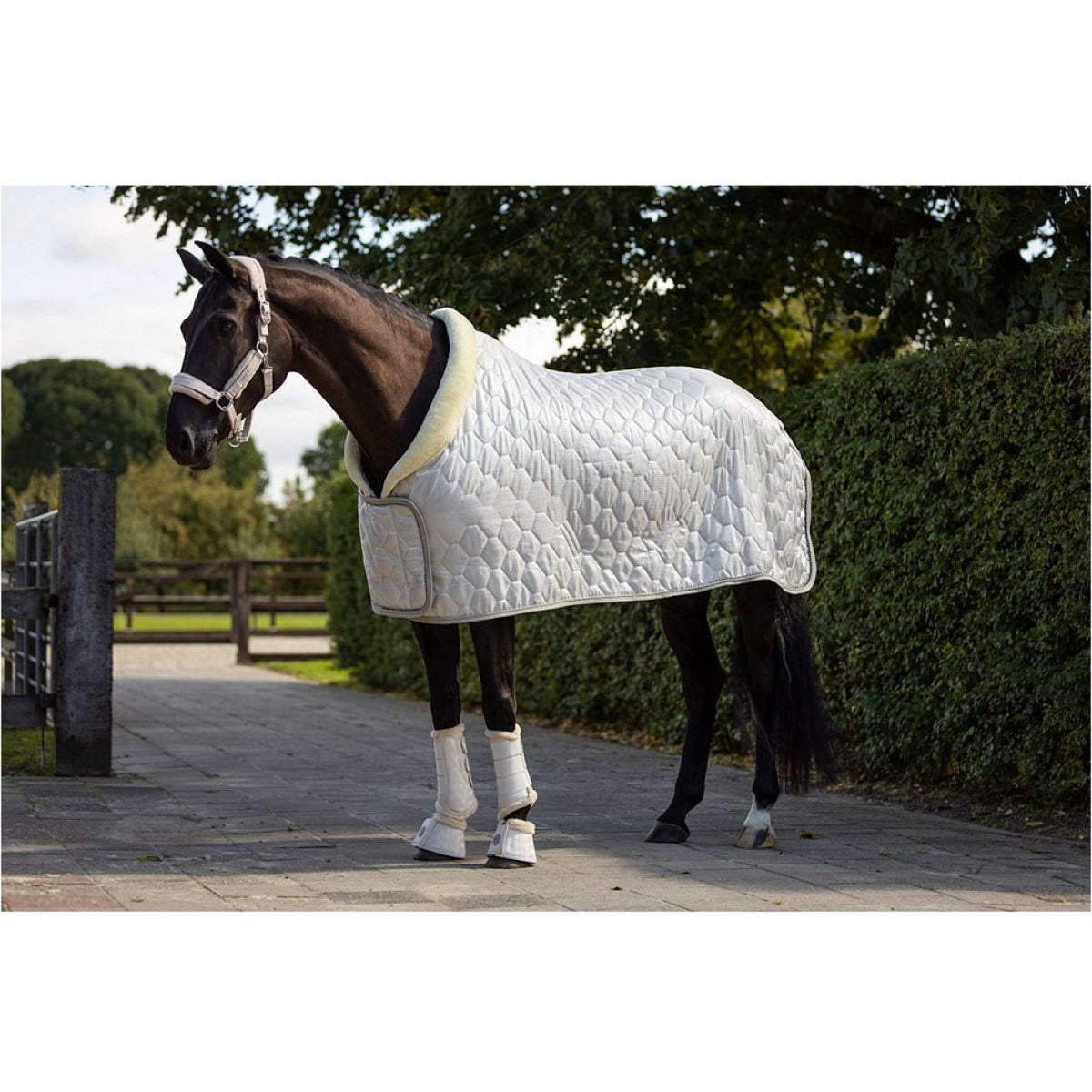 BR Show Rug Zamora C-Wear 600D Silver Birch