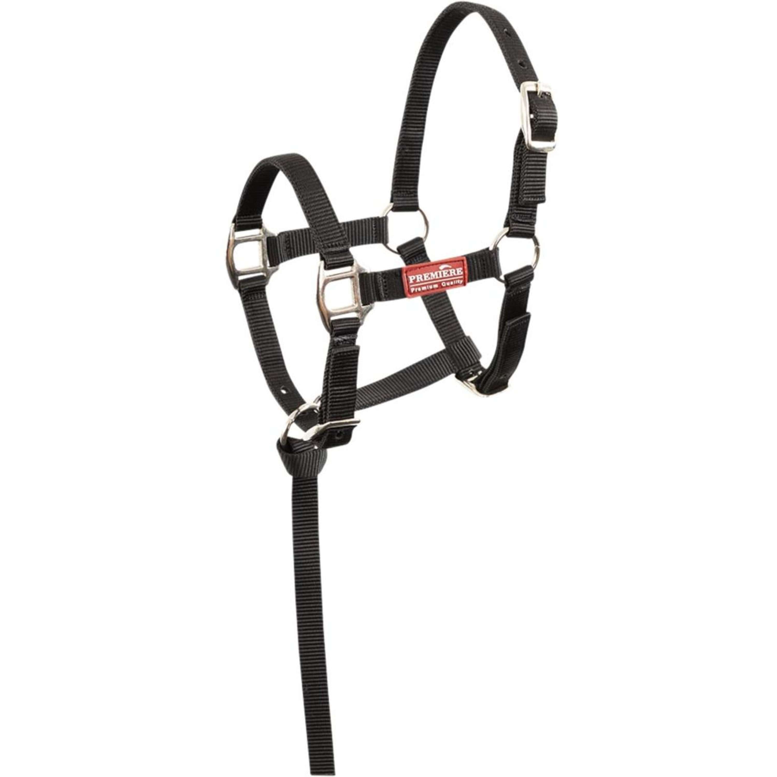 Premiere Foal Halter set Brisk With Mini Line Black
