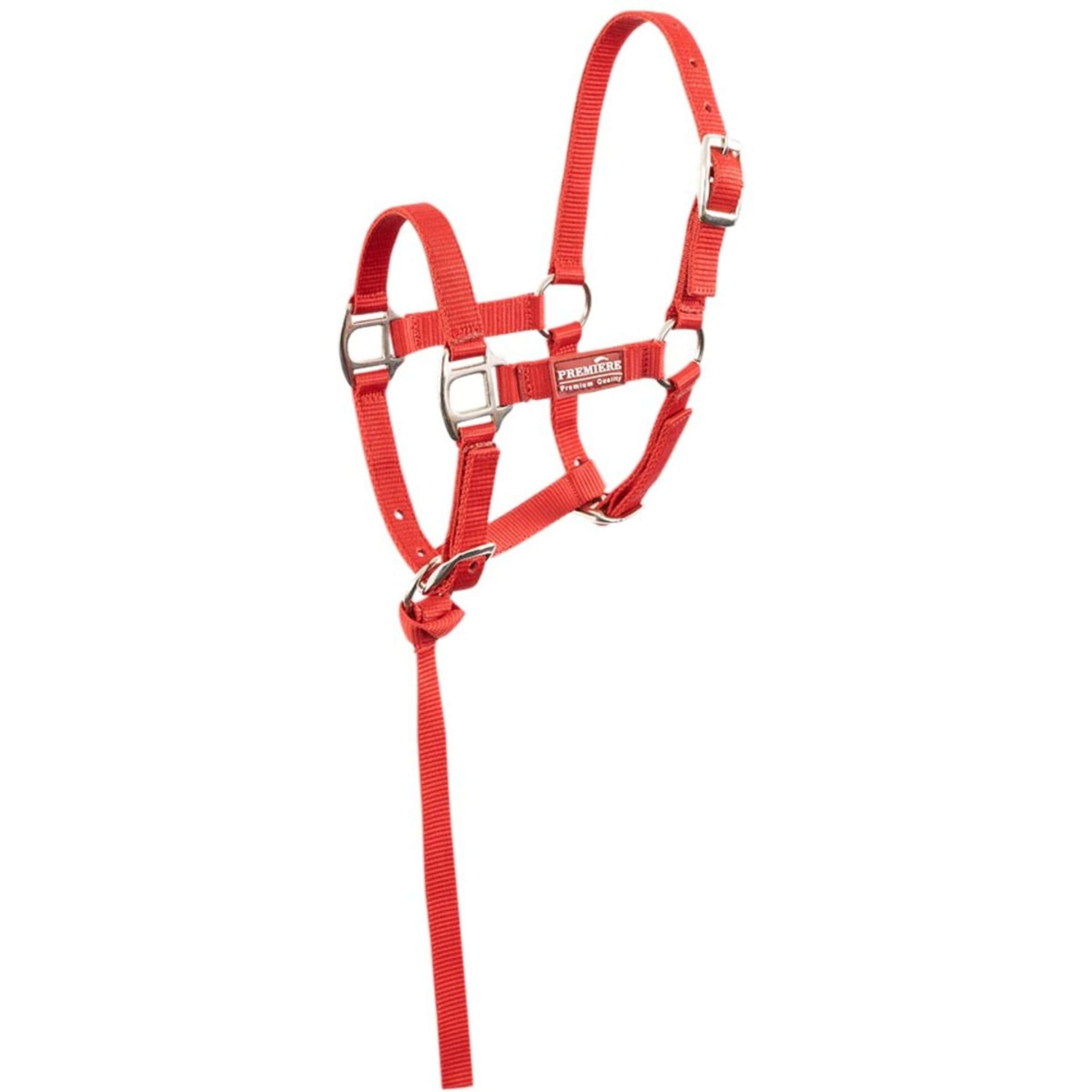 Premiere Foal Halter set Brisk With Mini Line Pompeian Red