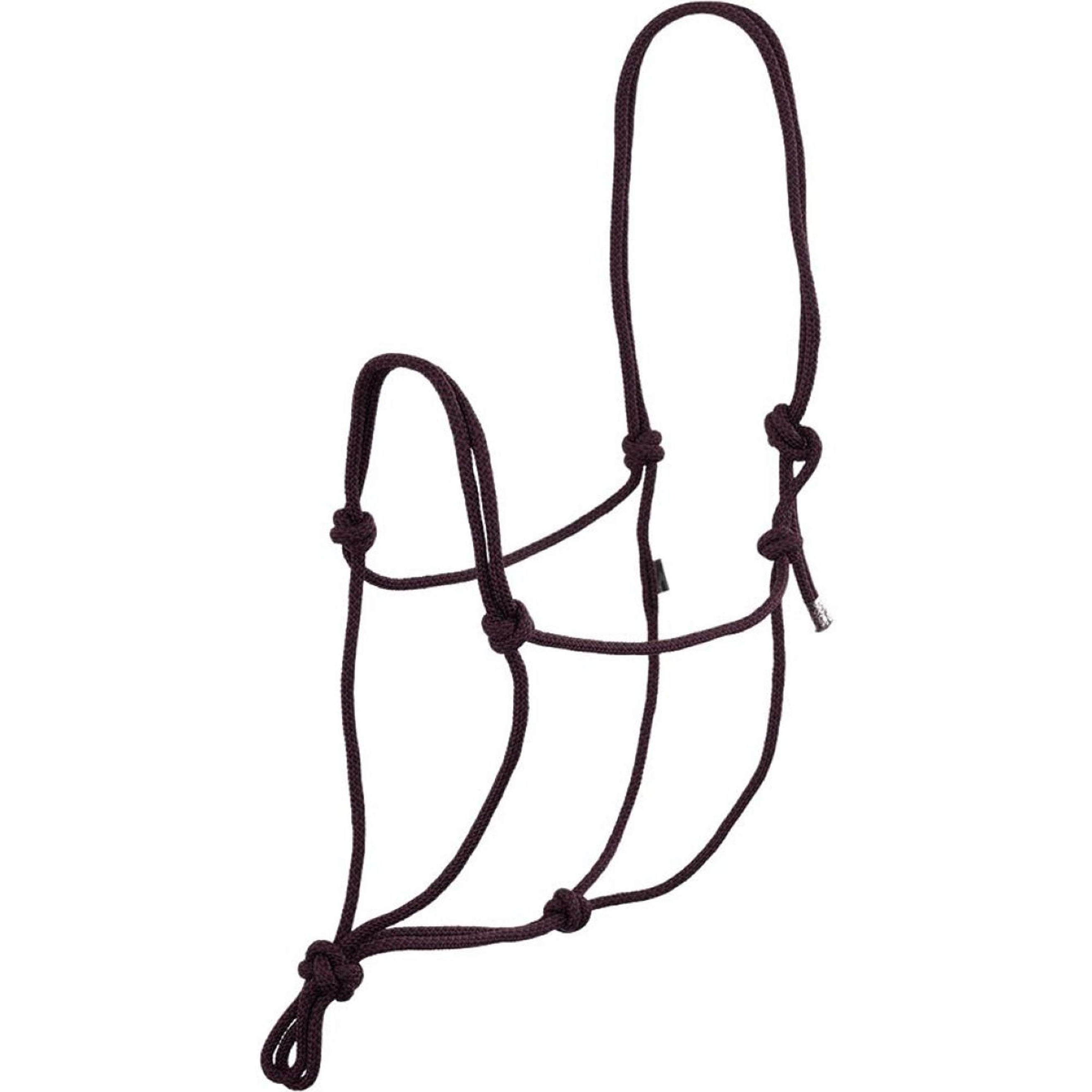 BR Rope Halter Fudge