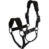 BR Halter Eevolv Fynn Carbon