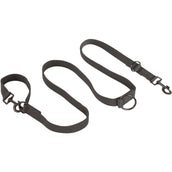 BR Dog Leash Quiet Shade