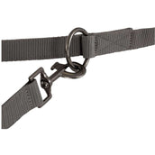 BR Dog Leash Quiet Shade