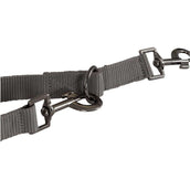 BR Dog Leash Quiet Shade