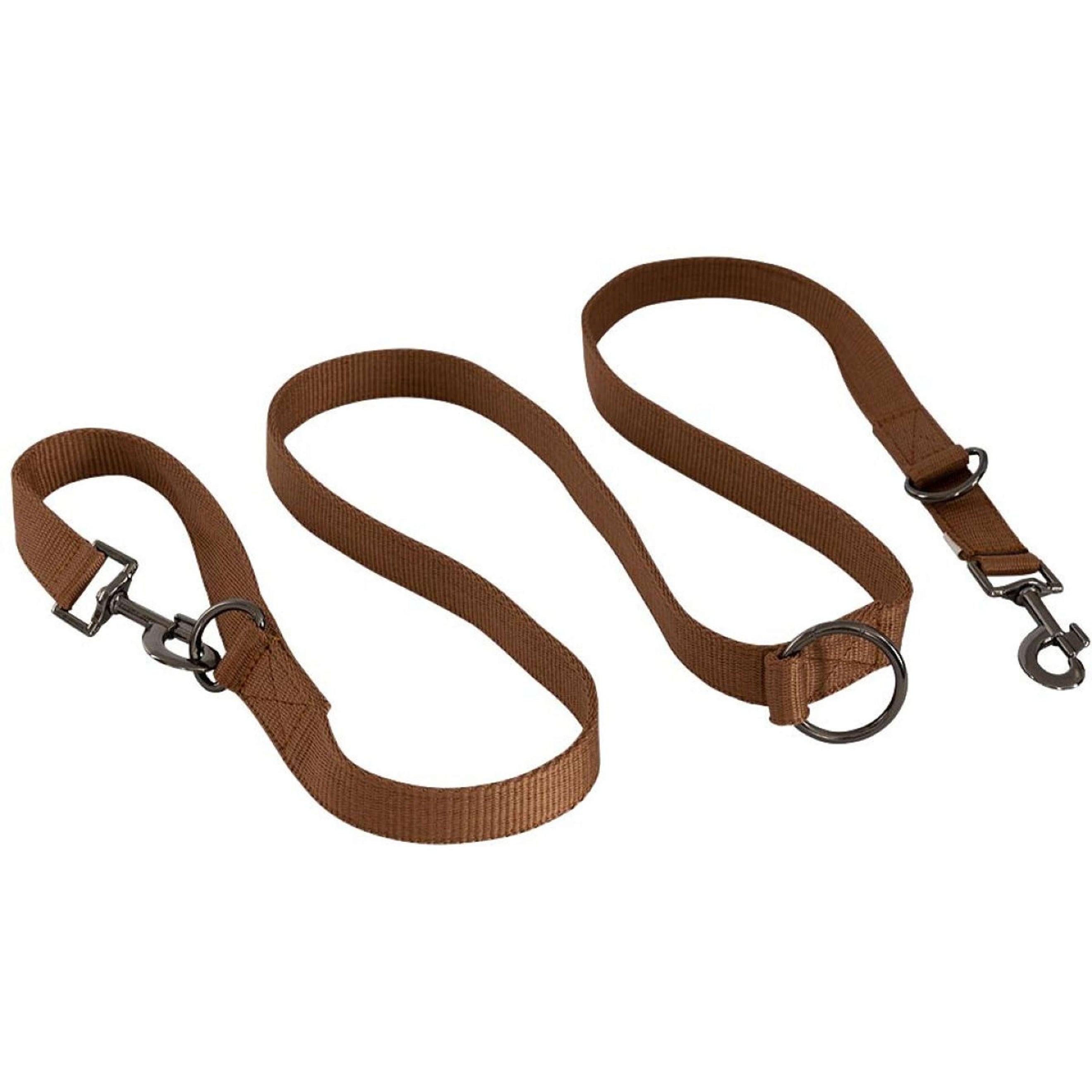 BR Dog Leash Cathay Spice