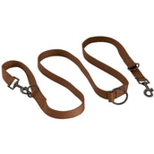 BR Dog Leash Cathay Spice