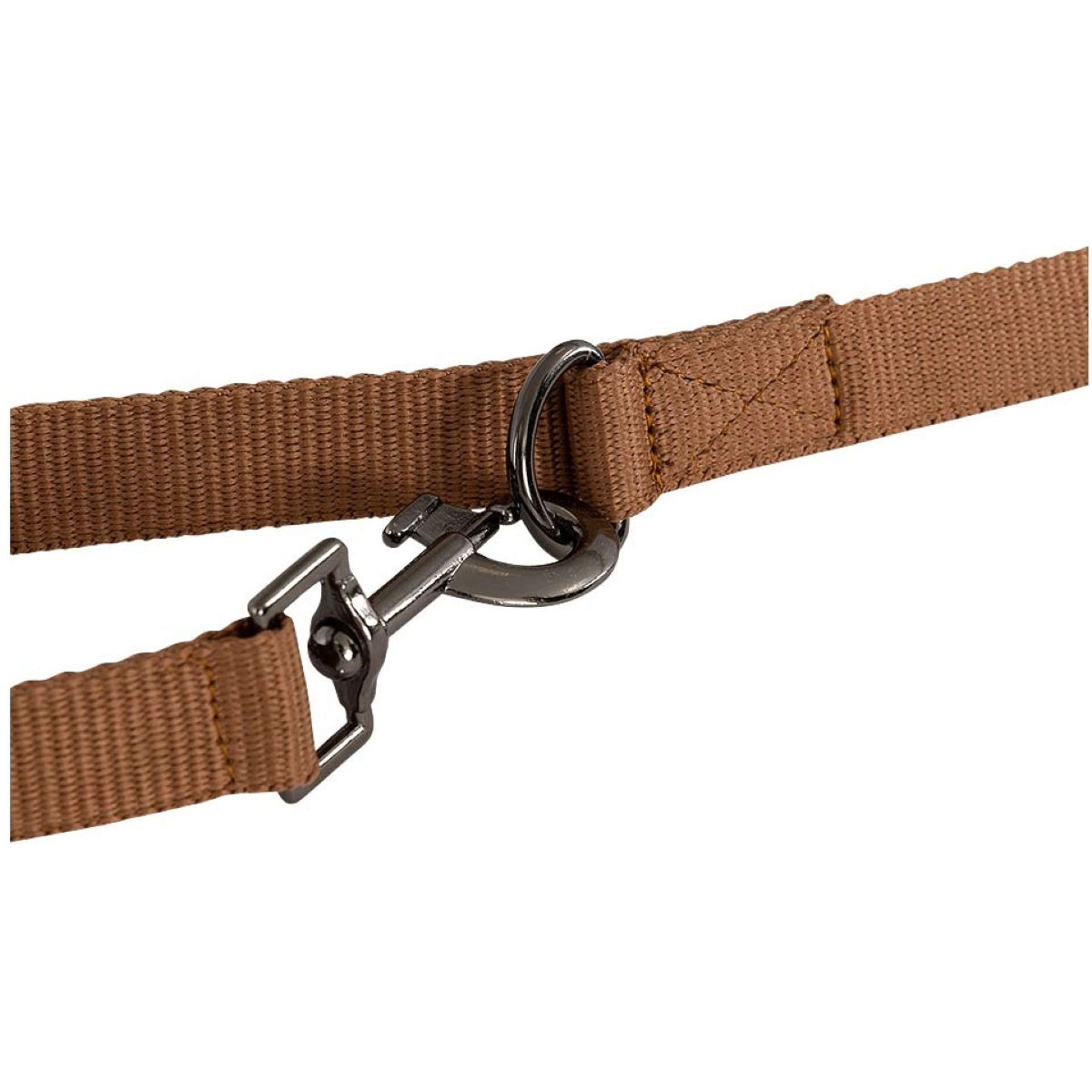 BR Dog Leash Cathay Spice