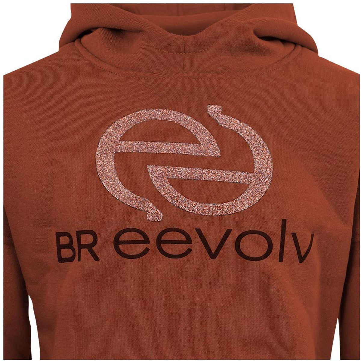 BR Sweater Eevolv Flip Roasted Russet