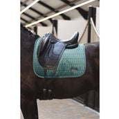 ANKY Saddlepad Velvet XB242112 Dressage Silver Pine