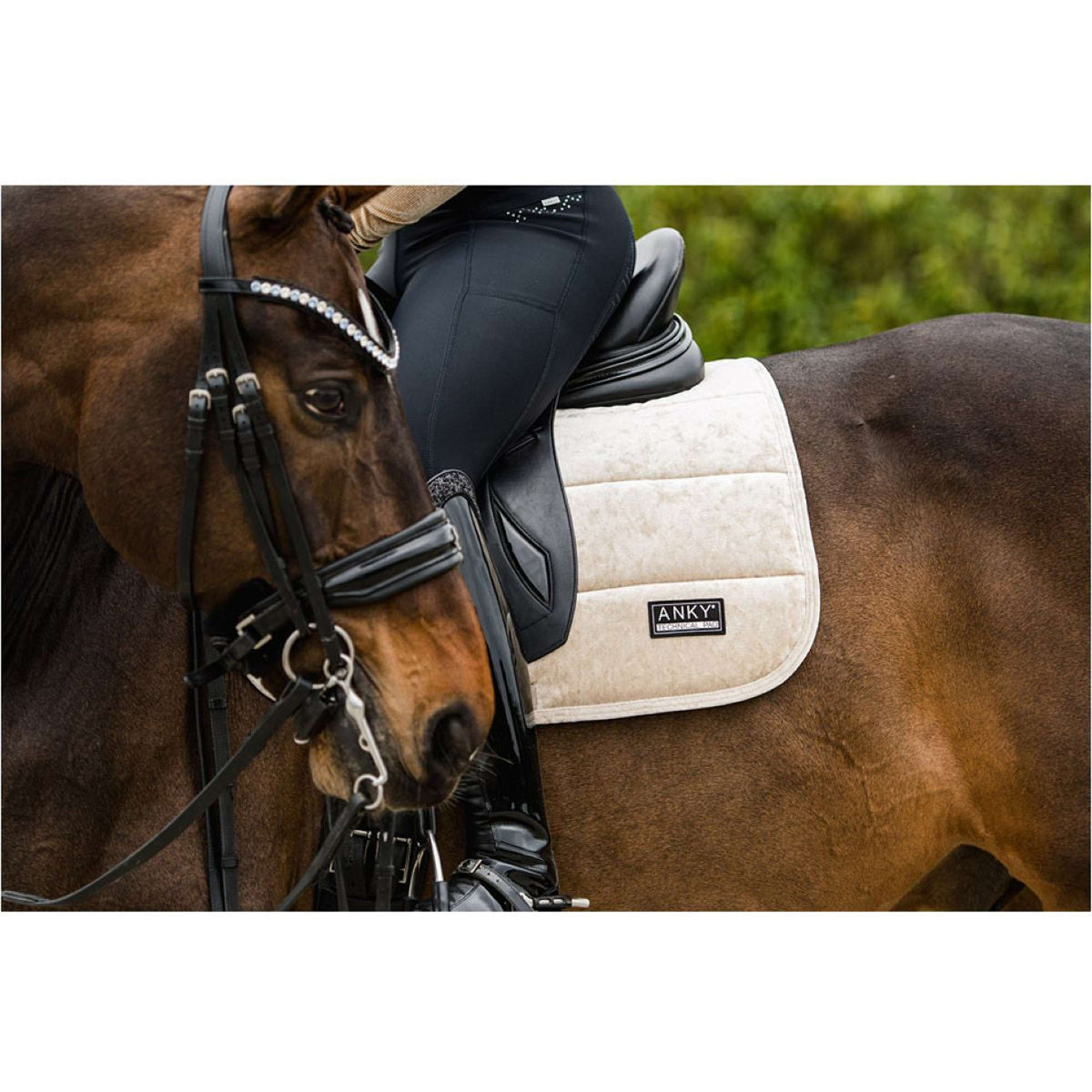 ANKY Saddlepad Jubilee Dressage Glamour Beige