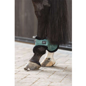 ANKY Fetlock Boots Velvet ATB242006 Silver Pine