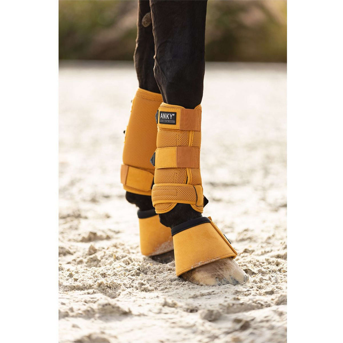 ANKY Bell Boots ATB242008 Spruce Yellow