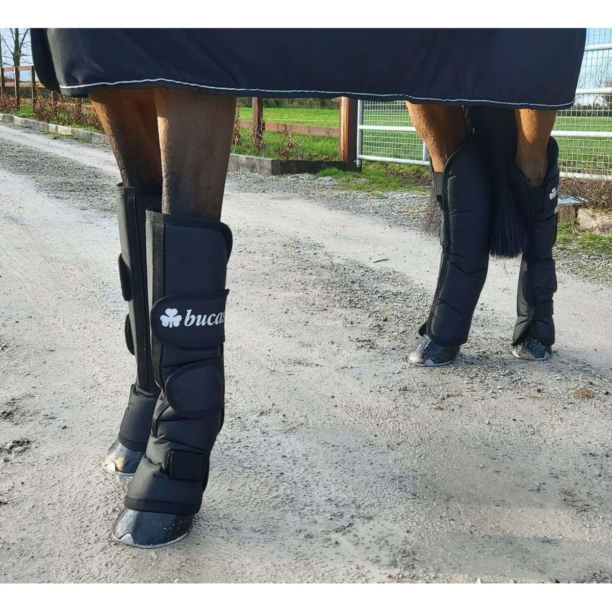 Bucas Transport Protectors Boots 2020 Navy