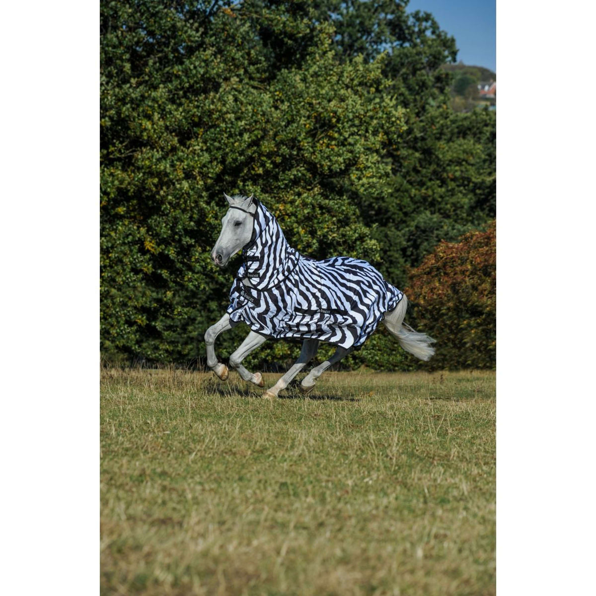 Bucas Eczema Blanket Sweet-itch Zebra